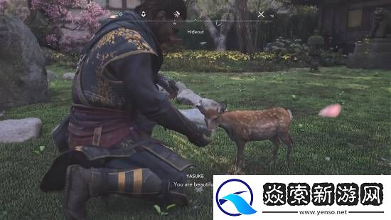 AC影藏身处自由度超高！还能收养野生动物