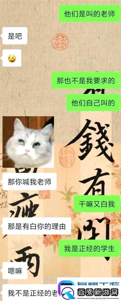 老师小扫货是什么