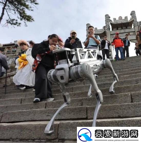 机器狗在泰山“入职”