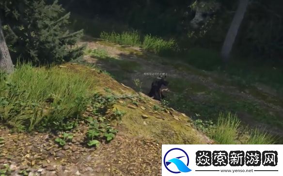 天国拯救2溃疡营地在哪