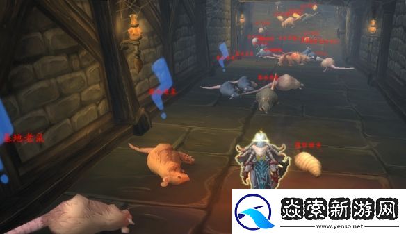 魔兽世界吉尔尼斯徘徊者怎么获得