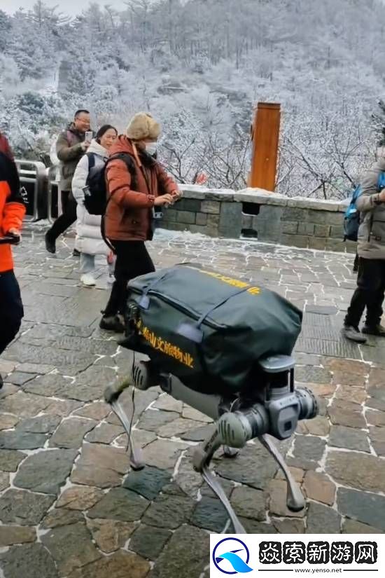 机器狗在泰山“入职”