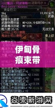 伊甸骨痕束带究竟拥有哪些神秘属性