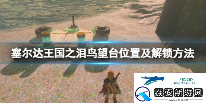 茨茨齐齐雪原鸟望台怎么解锁