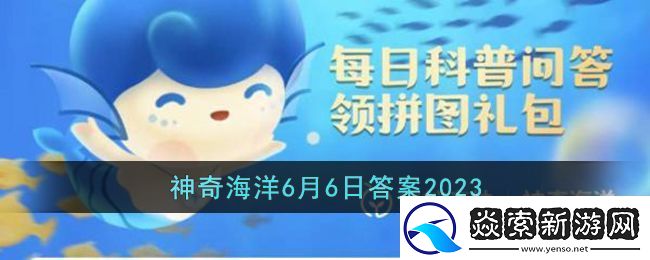 被称为仙女虾的海洋动物是