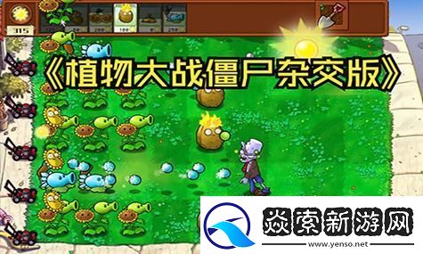 白夜极光光珀获取攻略如何变迁