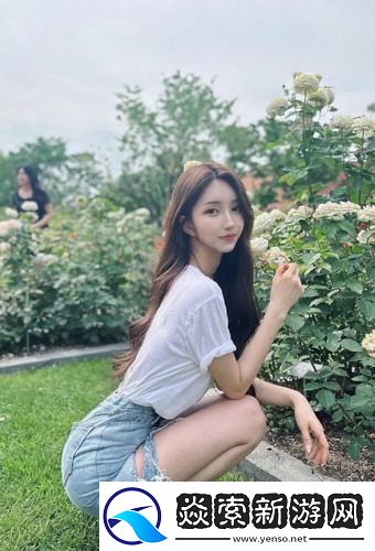 龙之谷光明套装获取步骤详解：提升角色实力的必备装备获取指南