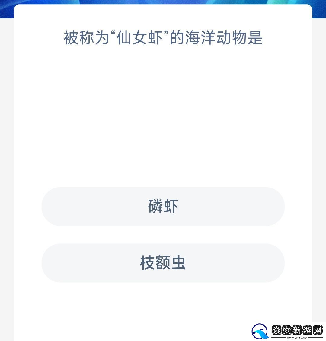 被称为仙女虾的海洋动物是