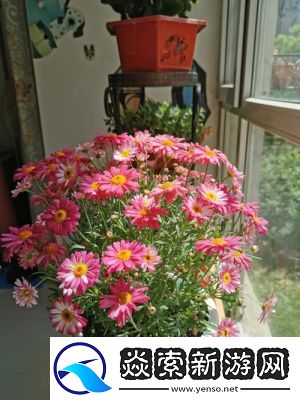 老公每天晚上吃小花园好吗