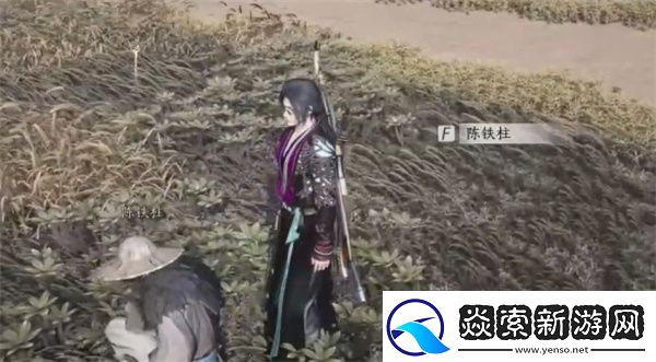 燕云十六声田中生金任务完成方法分享