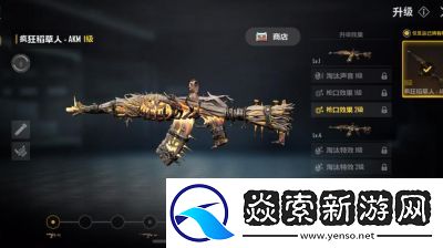 PUBG免费与付费的区别及对比分析