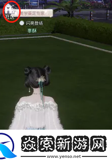 以闪亮之名柴老板在哪