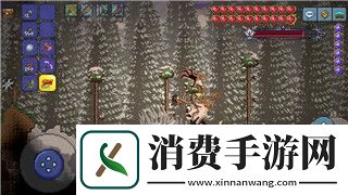 三国志幻想大陆哪个服务器人多