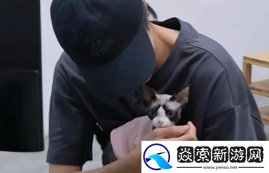 演员成果公司发道歉声明