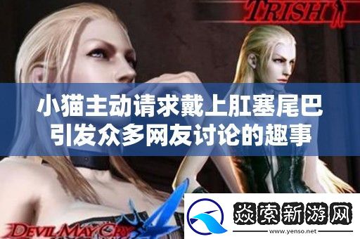 小猫主动请求戴上肛塞尾巴引发众多网友讨论的趣事