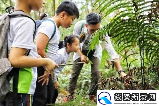 奇幻森林究竟有何魅力