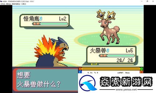 口袋妖怪绿宝石金手指代码