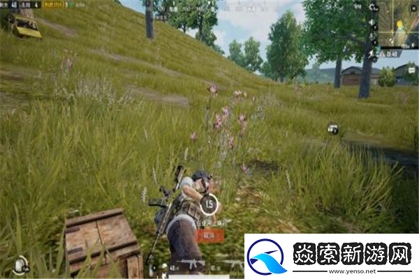 糖豆人终极淘汰赛与半衰期联动