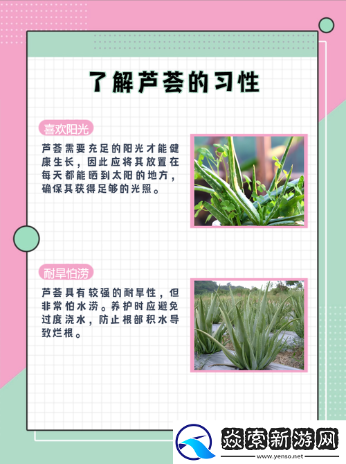 天空商人植物园究竟该如何修复