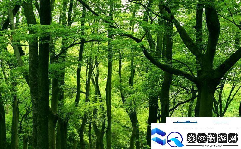 成语宫廷记第383关答案