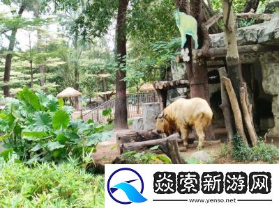 “奥林匹斯山动物园的奇特捕捉技巧”