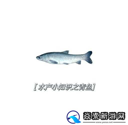 花与剑青鱼获取全攻略