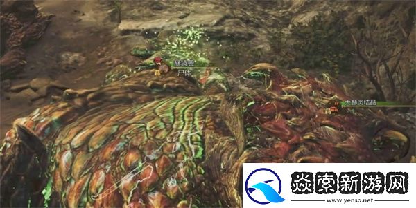 怪物猎人荒野力量护符获取方法分享