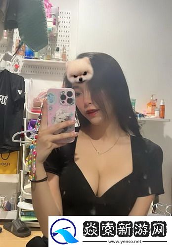 魔兽世界11.1暗索地精声望怎么速刷:在速度与效率中寻找完美的平衡!