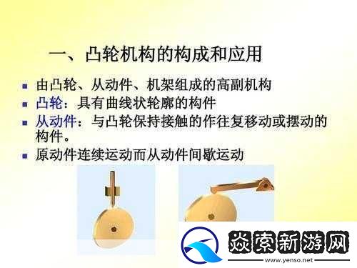 性别自由凸轮管阿拉伯