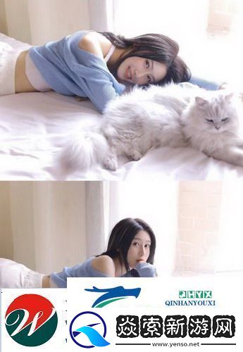 6996电视影片免费人数与人口