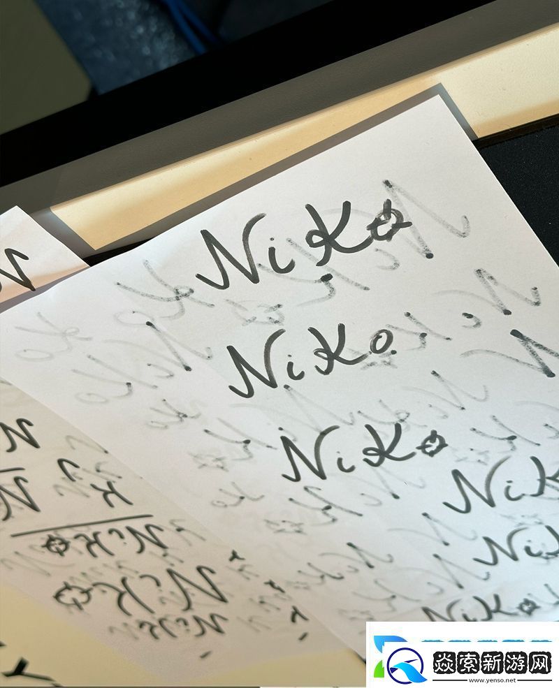 苦练签名NiKo及huNter写满签名方案