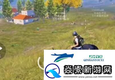 和平精英马在哪里