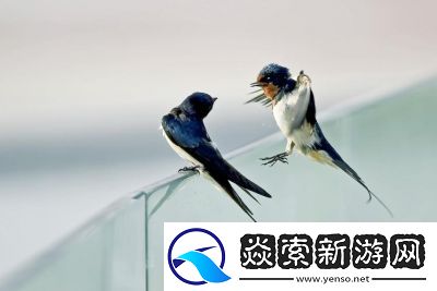 激情与效率的碰撞