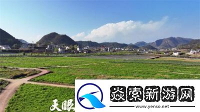 精产国品一二三产区9977