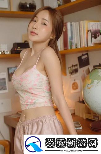 满清十三皇朝2：历史的回响与游戏的魅力！