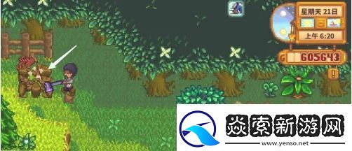 星露谷物语自动抚摸机怎么获得