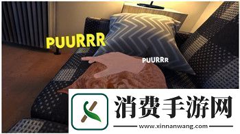 盐与献祭圣坛石核心地图解析与探索技巧