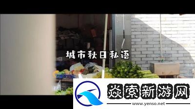 老镖客城中村扫街83939