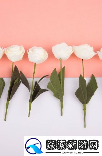 亚洲一码和欧洲二码尺码差异原因高清完整版