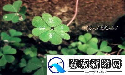 成品人和精品人的区别四叶草