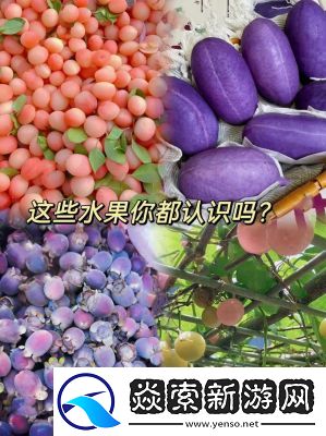 四大水果界“天王”