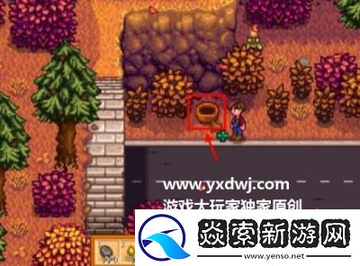 莱纳斯的黑莓篮子位置