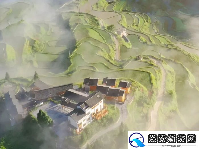 一家外企的向善力量