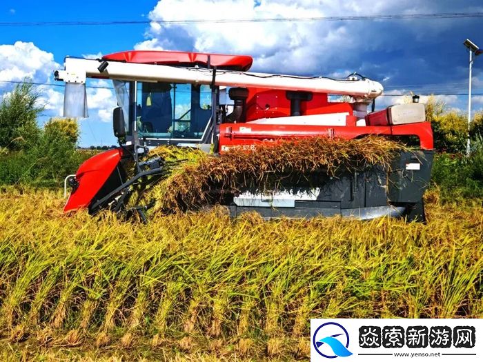 一家外企的向善力量