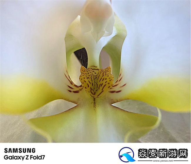 2亿像素超清影像领衔