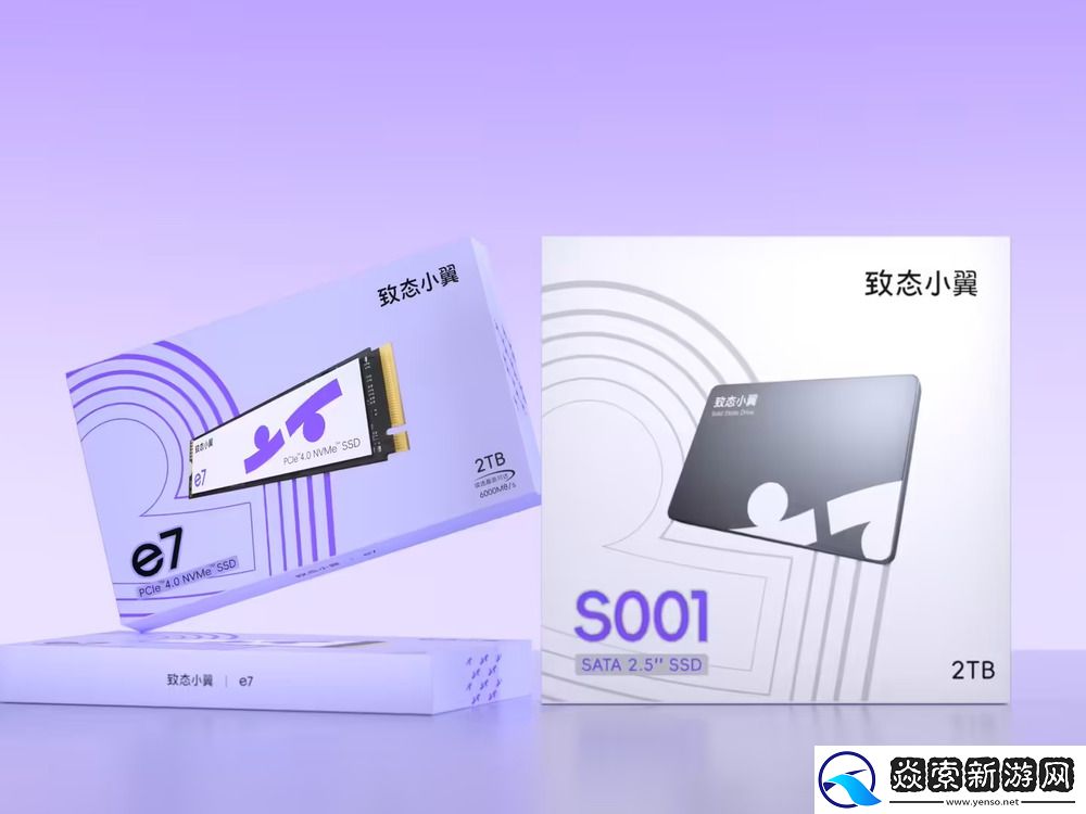 致态推出旗下新品牌致态小翼