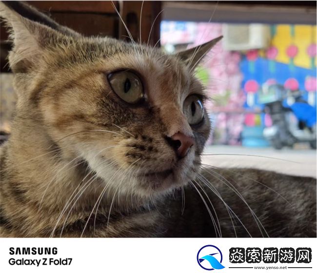 2亿像素超清影像领衔