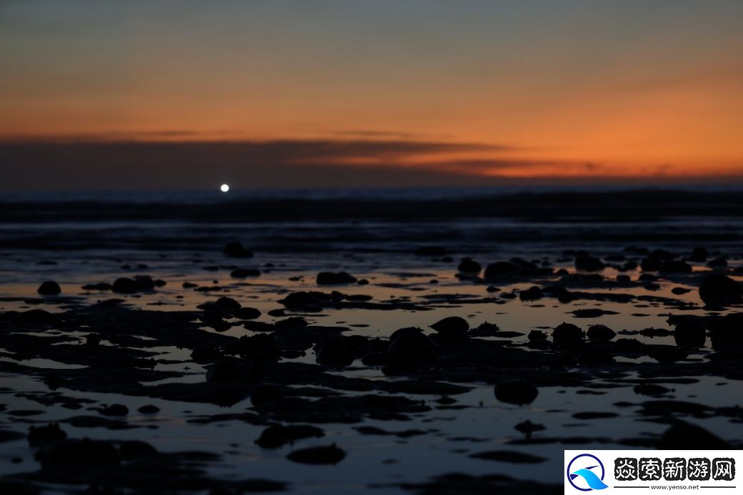 佳能发布全画幅专微相机EOS