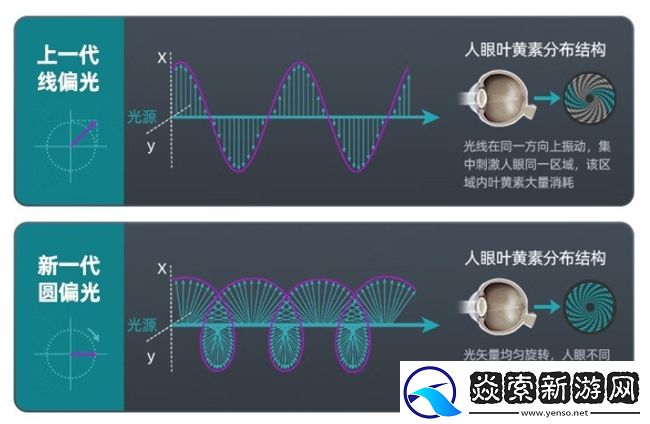 双11健康电竞新选择