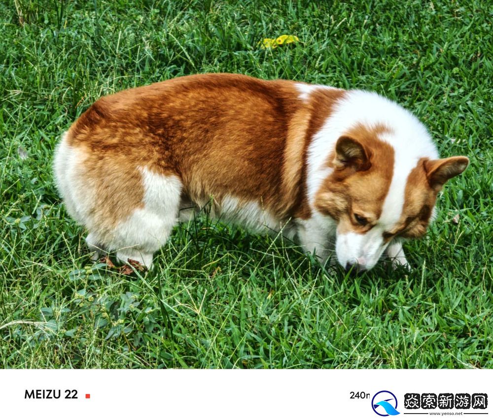 6.3英寸超窄边的骁龙8s